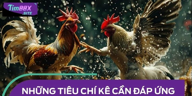 Những tiêu chí kê cần đáp có để huấn luyện được đá gà hồi mã thương