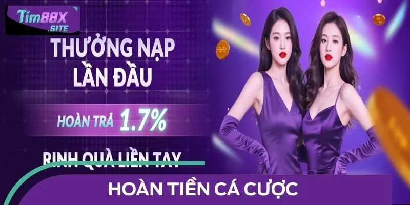 Hệ thống triển khai ưu đãi hoàn tiền siêu hấp dẫn