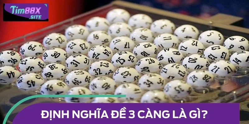Định nghĩa đề 3 càng là gì?